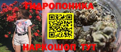 spice Новокубанск